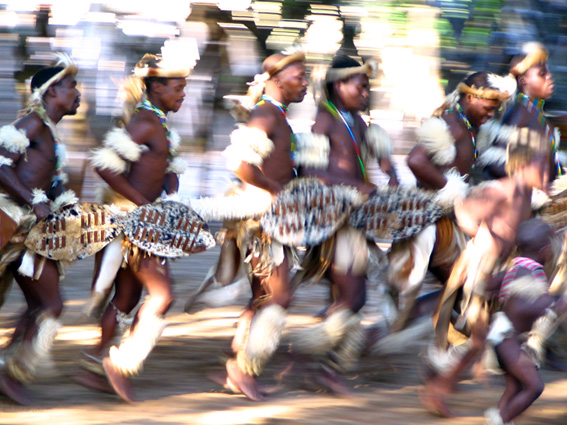 Zulu traditional dancing